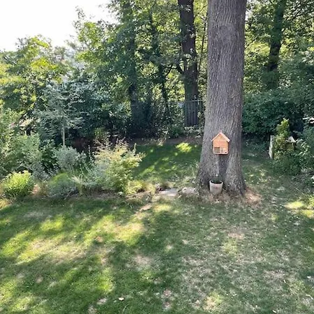 Tres Cosy En Rez De Jardin * Le Plessis-Robinson